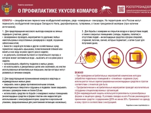 Памятка населению "О профилактике укусов комаров"